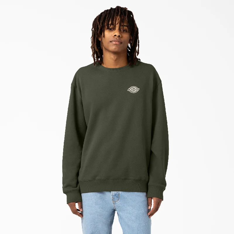 Men's eco - friendly recycled t - shirts for sustainable fashion choicesDickies Men's Holtville Sweatshirt