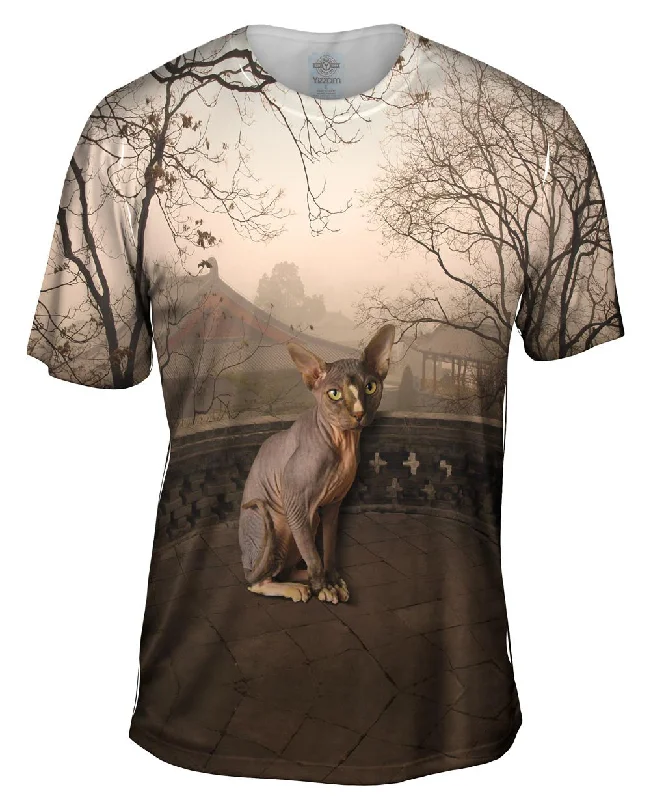 Men's v - neck muscle t - shirts for a body - building aestheticSphynx Cat Sunset